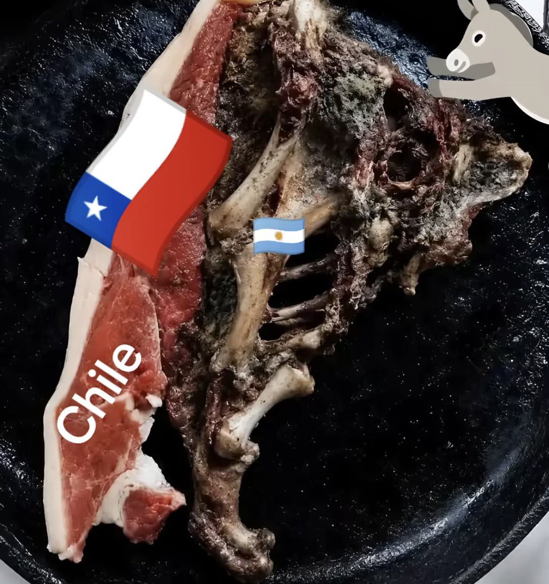 DarioOsorioGOAT's tweet photo. la imagen real porque en Argentina solo comen carne de burro.. https://t.co/BRtzGdZgHQ