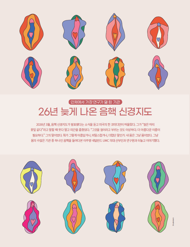 realscidonga's tweet photo. 2026년 3월, 음핵의 3차원 신경지도가 처음 발표됐습니다. 음경 귀두의 신경지도가 나온 지 26년 만입니다. 왜 이렇게 늦어졌을까요? 과학동아는 연구를 이끈 이주영 네덜란드 UMC 의대 산부인과 연구원과 터놓고 이야기를 나눠 봤습니다. https://t.co/aqKKZUie6t