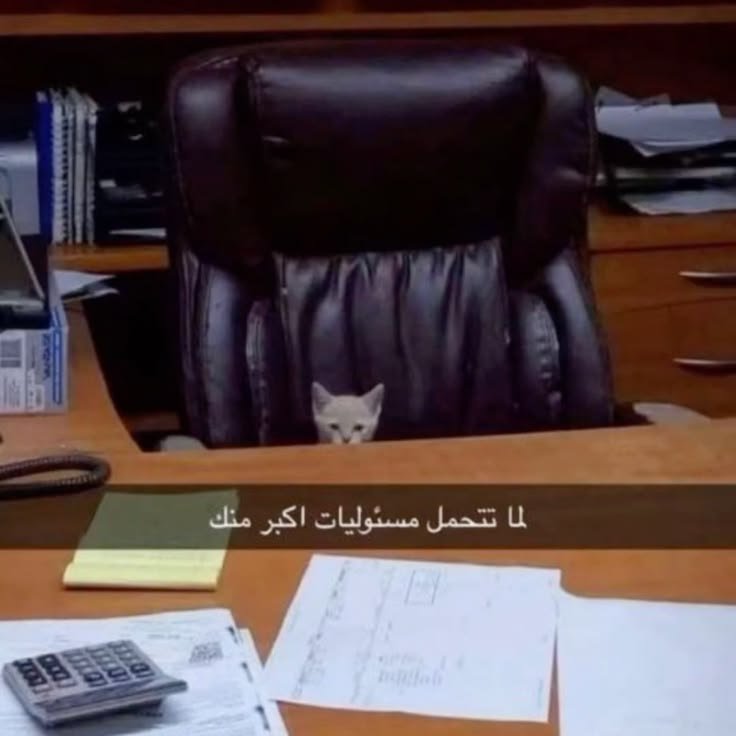 itsmethreee's tweet photo. العنود 
#صباحيات_فورر https://t.co/3xgyPr0Rxf