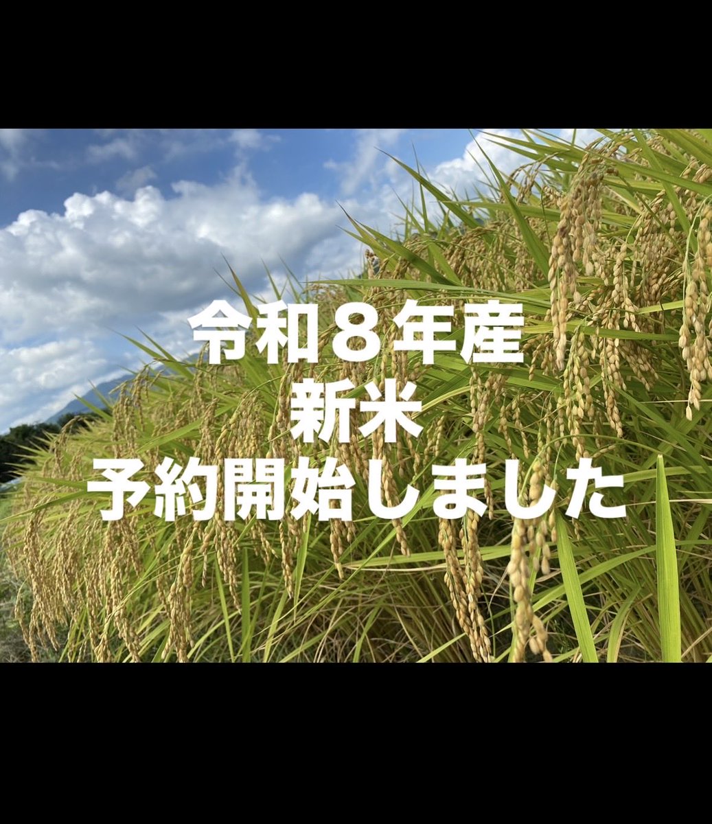 TanboyaT's tweet photo. 📩ご予約は
・公式LINEまたは米専用LINE
・Instagram DM

にて受付中です😊

皆さまのご予約を心よりお待ちしております🌾✨

田んぼ屋たなか https://t.co/V8UN5ZbTAQ