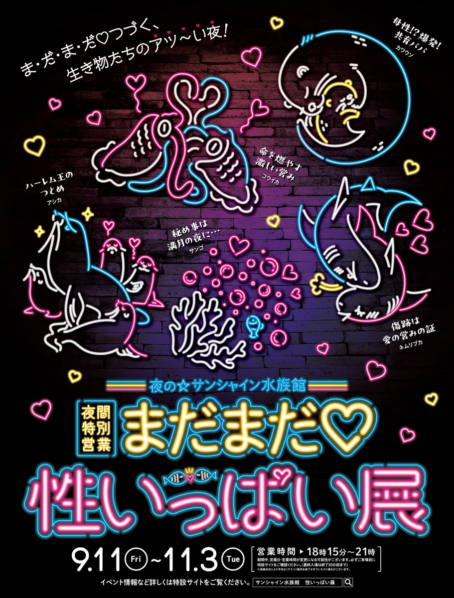 Sunshine_Aqua's tweet photo. まだまだ♡性いっぱい展
2年ぶりの開催!!👏

今回は、各エリアに
「繁殖行動」・「求愛」・「仔育て」のテーマを設定！

ユニークなイラスト入りの解説パネルとともに、
様々な展示でご紹介します。

開催日程：9/11(金)～11/3(火・祝) 18:15～21:00

詳細は後日下記特設サイトにて
お知らせしますのでお楽しみに！
https://t.co/JgIoO6MyOz