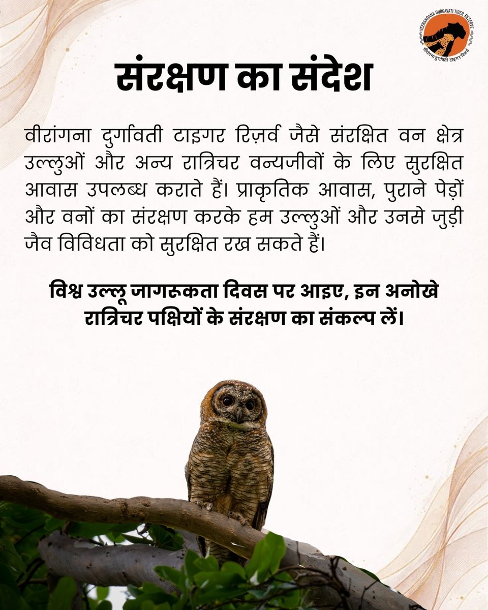 vdtrofficial's tweet photo. विश्व उल्लू जागरूकता दिवस

उल्लू जंगल के प्राकृतिक संतुलन के महत्वपूर्ण प्रहरी हैं। ये चूहों, छोटे स्तनधारियों और कीटों की संख्या नियंत्रित रखकर वन पारिस्थितिकी तंत्र को स्वस्थ बनाए रखने में महत्वपूर्ण भूमिका निभाते हैं।

#worldowlawarenessday #owl #birdconservation #wildlife https://t.co/QFCOtvHLT3