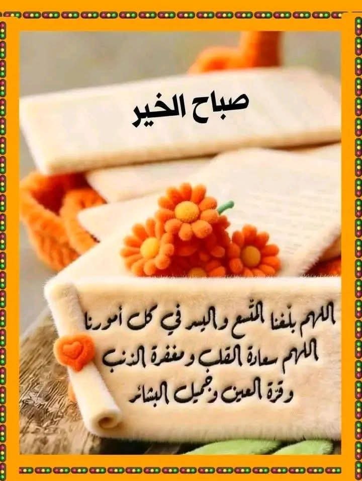 klldkk's tweet photo. @susanmurshid https://t.co/DhVQBAGjyZ