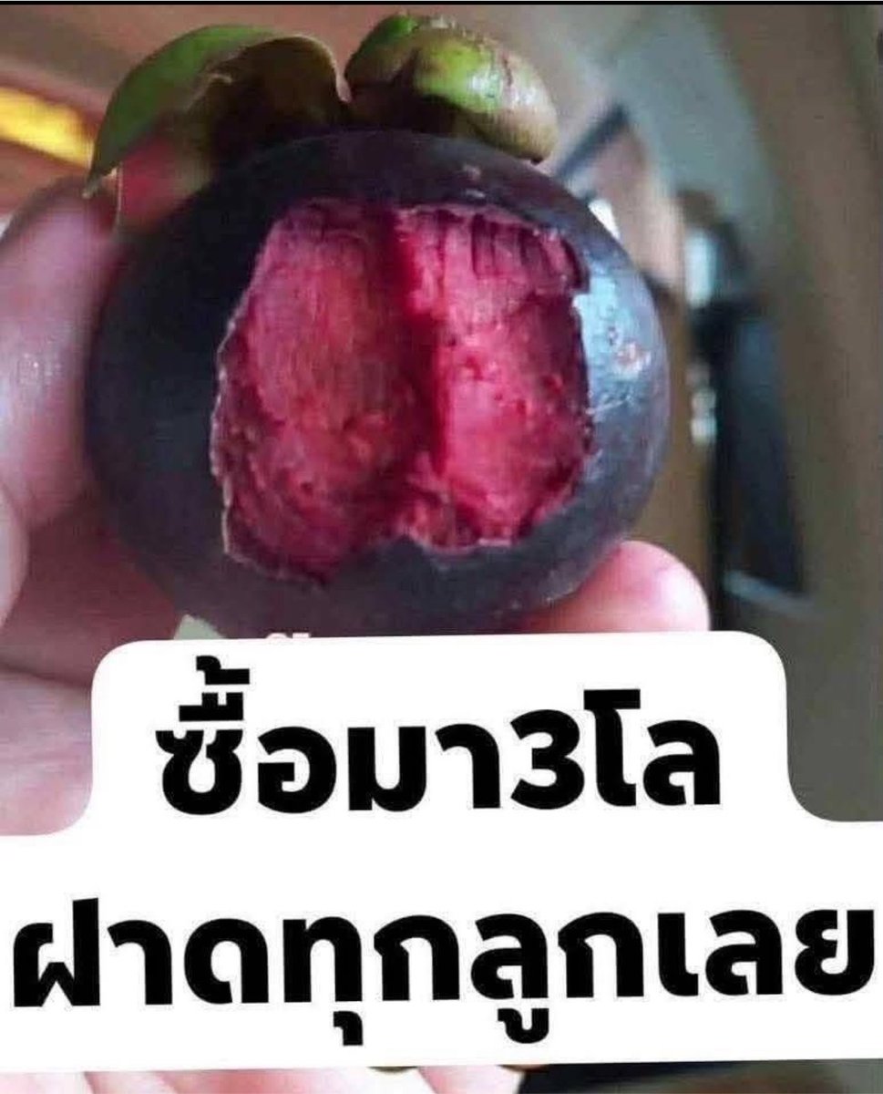 sfkkfs_'s tweet photo. 555555555555555555555555555555555 https://t.co/sJdcdUpxzH