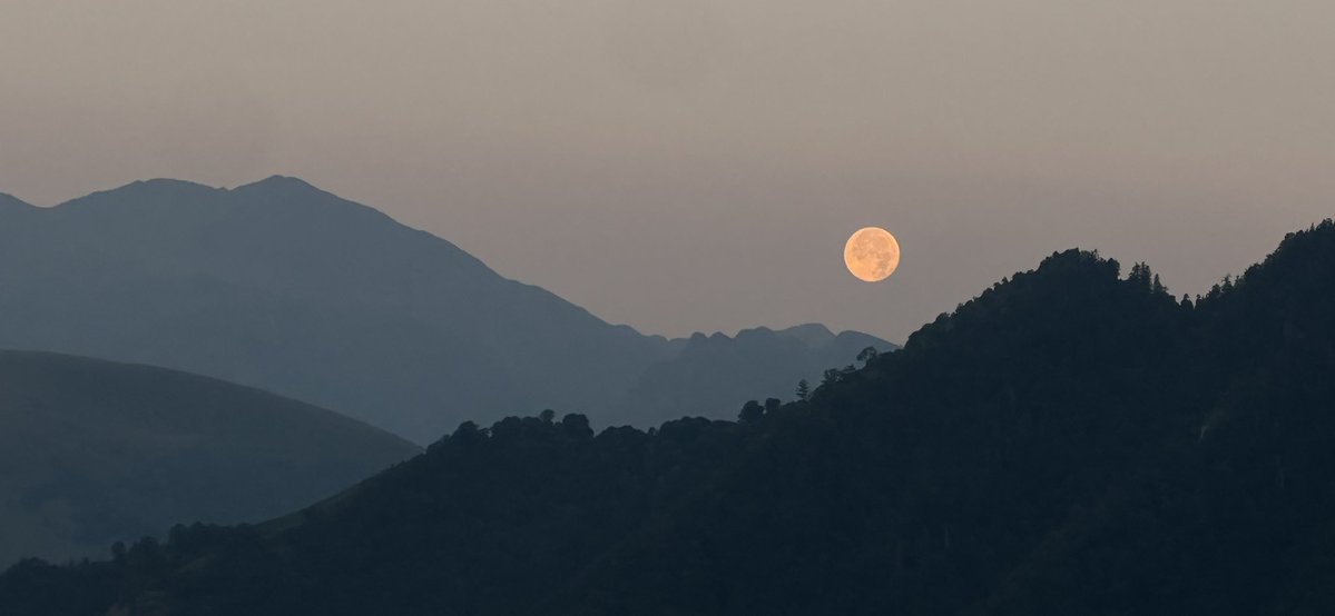 gillespollini's tweet photo. Artigue, jeudi 30 juillet 2026, 6h45, coucher de Lune … avant le lever de l’autre https://t.co/ATq0O5VDtd