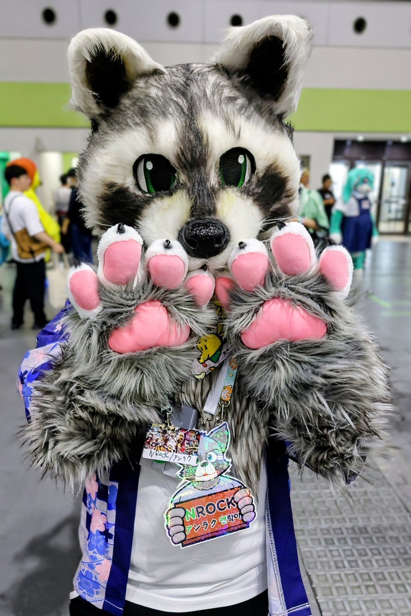 yusukemax1's tweet photo. @NROCKRaccoon 
#OFFF2026
무지 귀여운 라쿤 연락이 씨
또 봐서 정말 반가웠어요.다음에 만나면
조금만 말할 수 있게 한국어 열심히 공부할게요.OFFF동안 많이 사진 찍어주셔서 감사했어요🙏 https://t.co/ZDtSx7075t