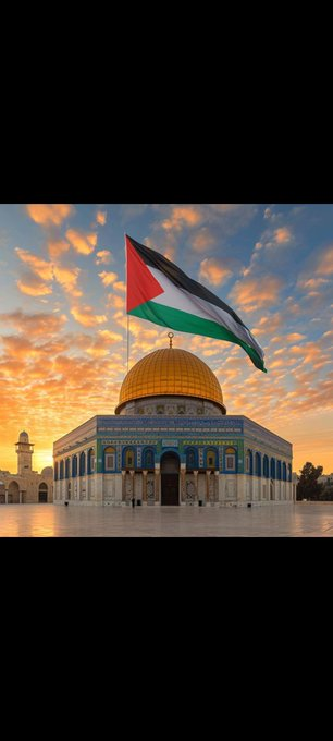 DerekLarse95301's tweet photo. @Nermeenalswaisi Free Palestine https://t.co/lazHFH3l3L