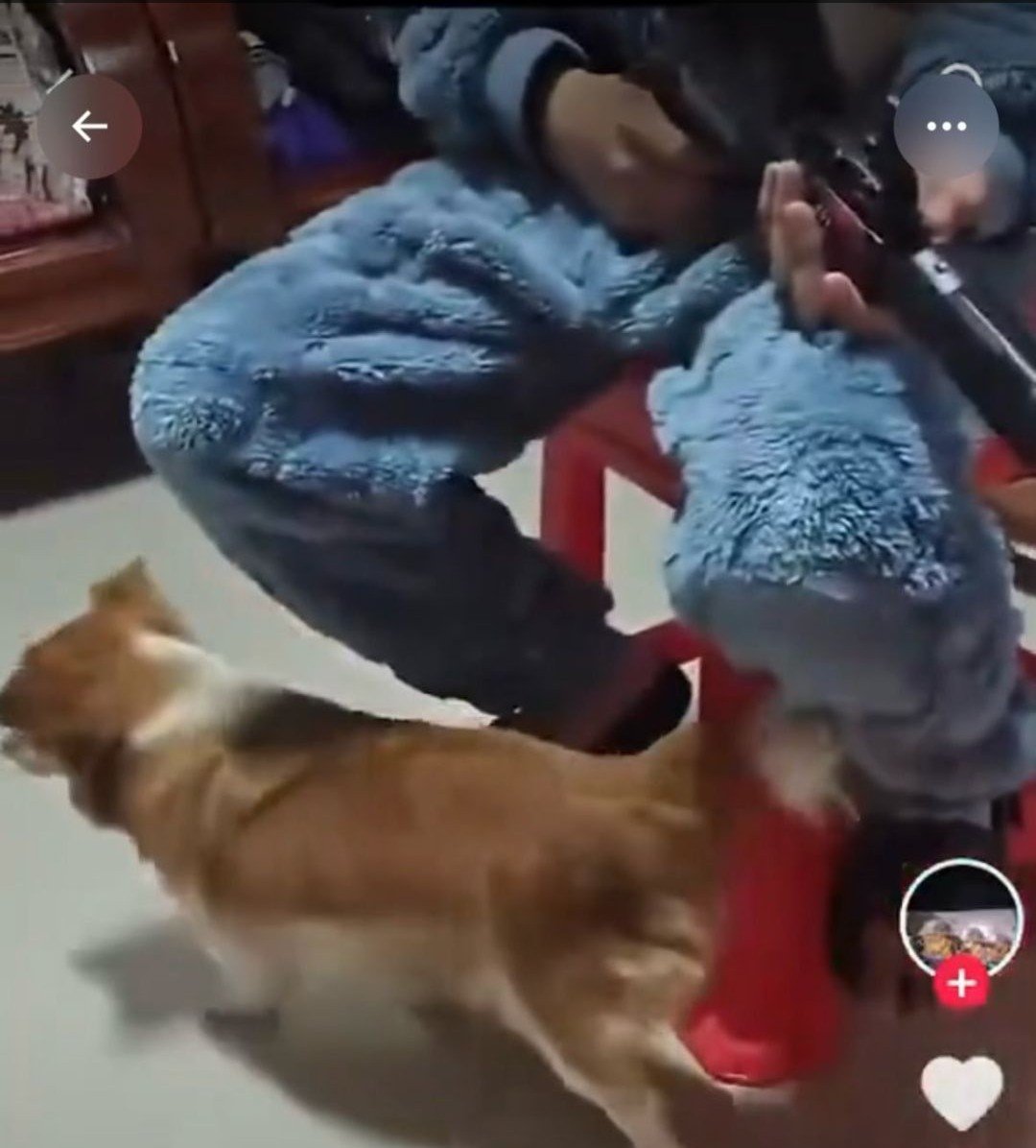 q4xCOYoULS6PAQB's tweet photo. 掲陽未成年者犬虐待事件。
加害者の親は中国共産党。自民党や中道は中国共産党とズブズブ。自民党や中道に投票すると、中国共産党に税金が流れる。
自民党や中道に投票してはいけません！自民党はペット産業から多額の賄賂を受け取ってます。
#JusticeForWangWang
#旺旺 https://t.co/cF08scJLak