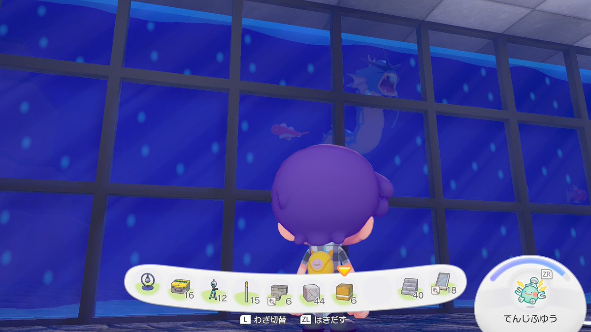jasin01's tweet photo. ぽこあの海底の街に炎ポケモンは遊びにいけるのかな？と思ったから先に海中に道作る練習してた https://t.co/lFkpPEYPzv