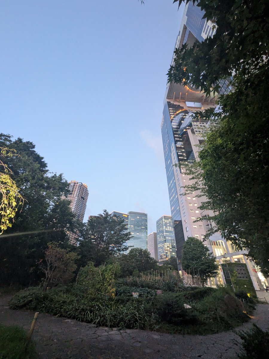 yasudaadisuke8's tweet photo. 梅田スカイビルの裏にこんな森があると初めて知った。
グラングリーン大阪にも期待しているが、流れている月日が違いすぎる… https://t.co/QuKVUlhIIf