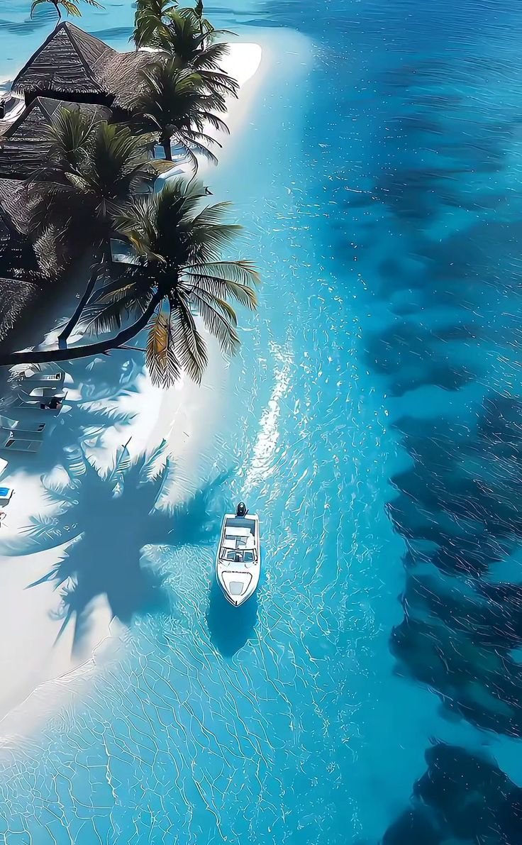 water_diaries's tweet photo. Maldives 🇲🇻 https://t.co/OUmEcw7KqT