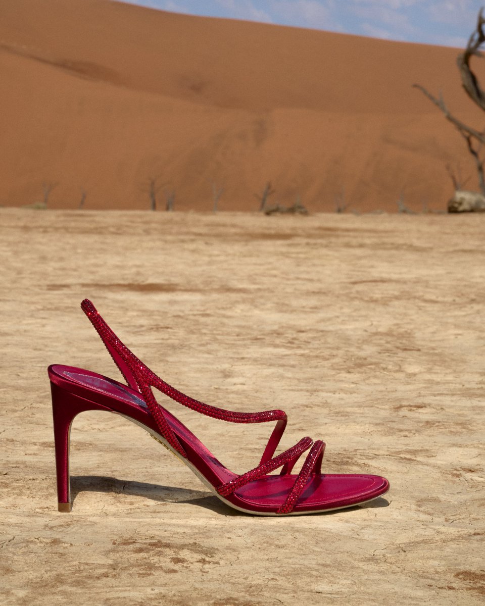 rene_caovilla's tweet photo. A vivid mirage. The Erin sandal in bold red.
#ReneCaovilla https://t.co/rnIiT3RgqH