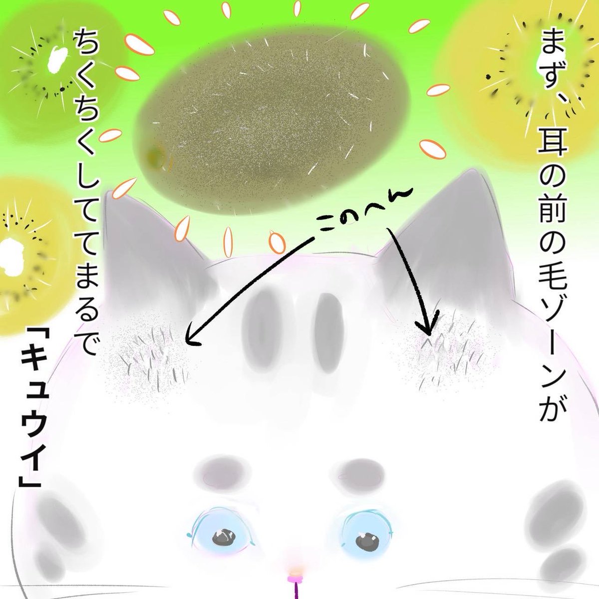 gM6mF6Ye8orX3u4's tweet photo. 猫はスイーツ　#こわがりねこのそら　#ねこ　#ねこかつ　#保護猫　#cat #猫のいる暮らし   #漫画がよめるハッシュタグ　#マンガ　#2026年　#8月　#ねこカフェ　#キャット　#すい https://t.co/I6gY1DNVWJ