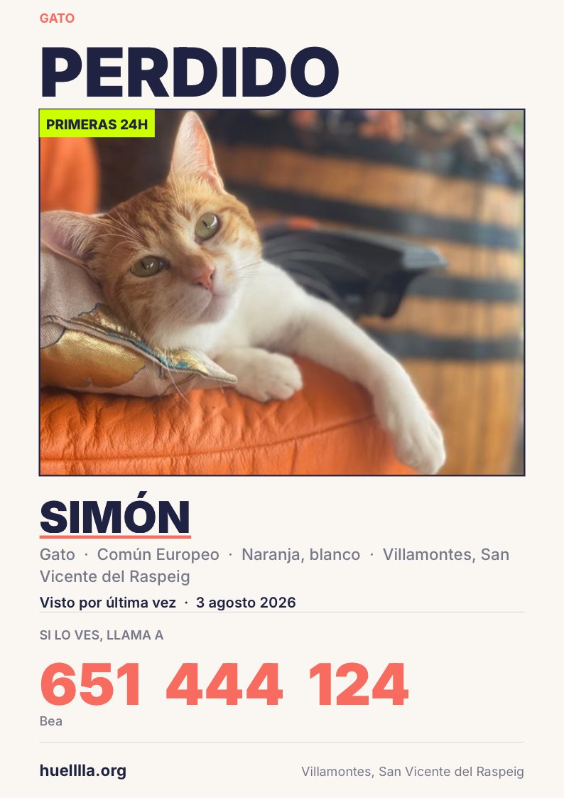 huelllla's tweet photo. Has visto a Simón? Se ha perdido en #Villamontes #SanVicentDelRaspeig si lo ves se dejará coger.
Nos ayudas a difundir para llegar a más gente? https://t.co/cS0lzxlU01