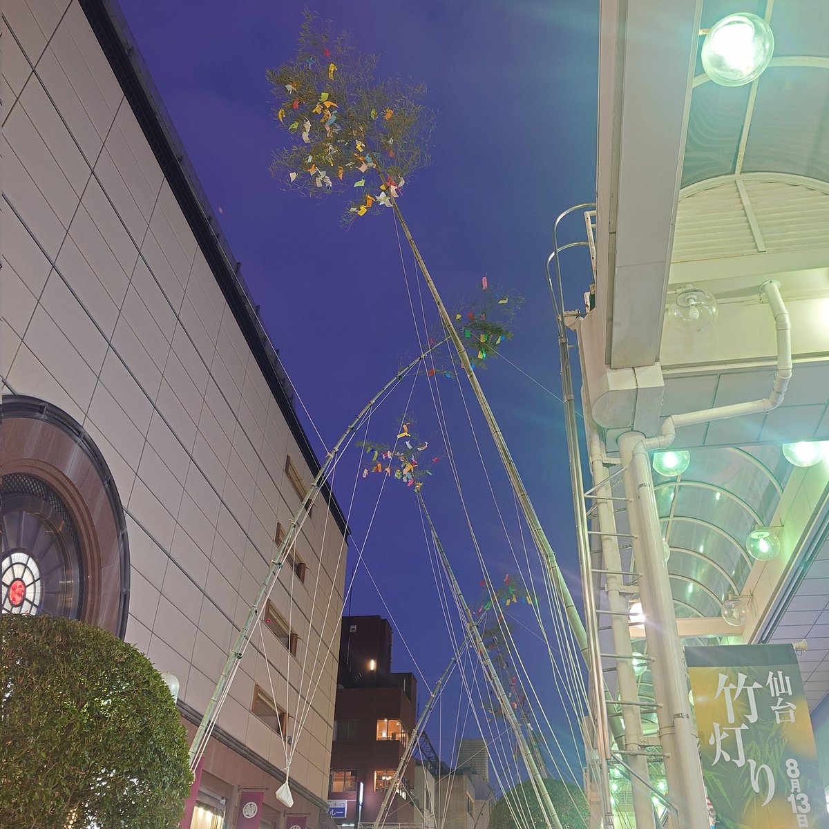 salmonmasu's tweet photo. スタンバーイ https://t.co/YZ5lAYHzhu