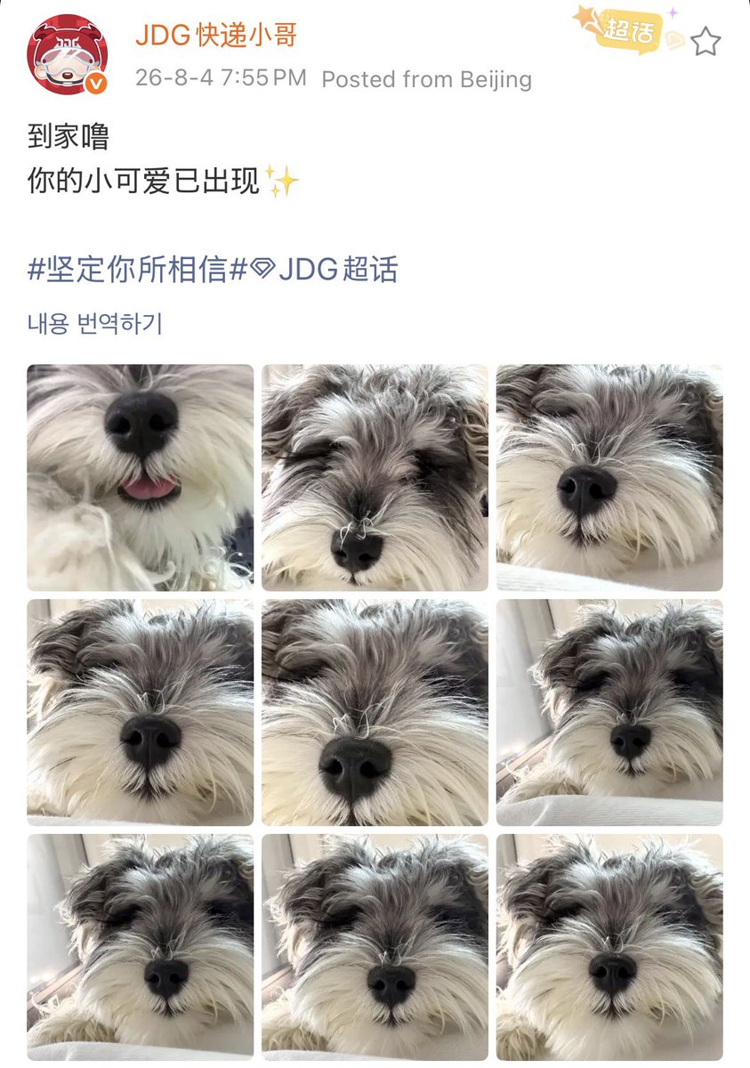 crazyisourgame's tweet photo. #JDG #Duobao

우리팀 아이돌 등장✨ https://t.co/REFCVwi9S0