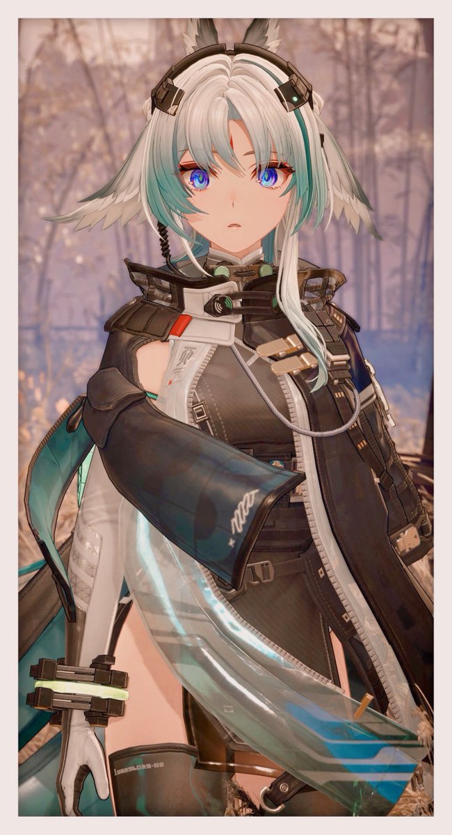 こむぎ (@komugi6a) / Posts / X