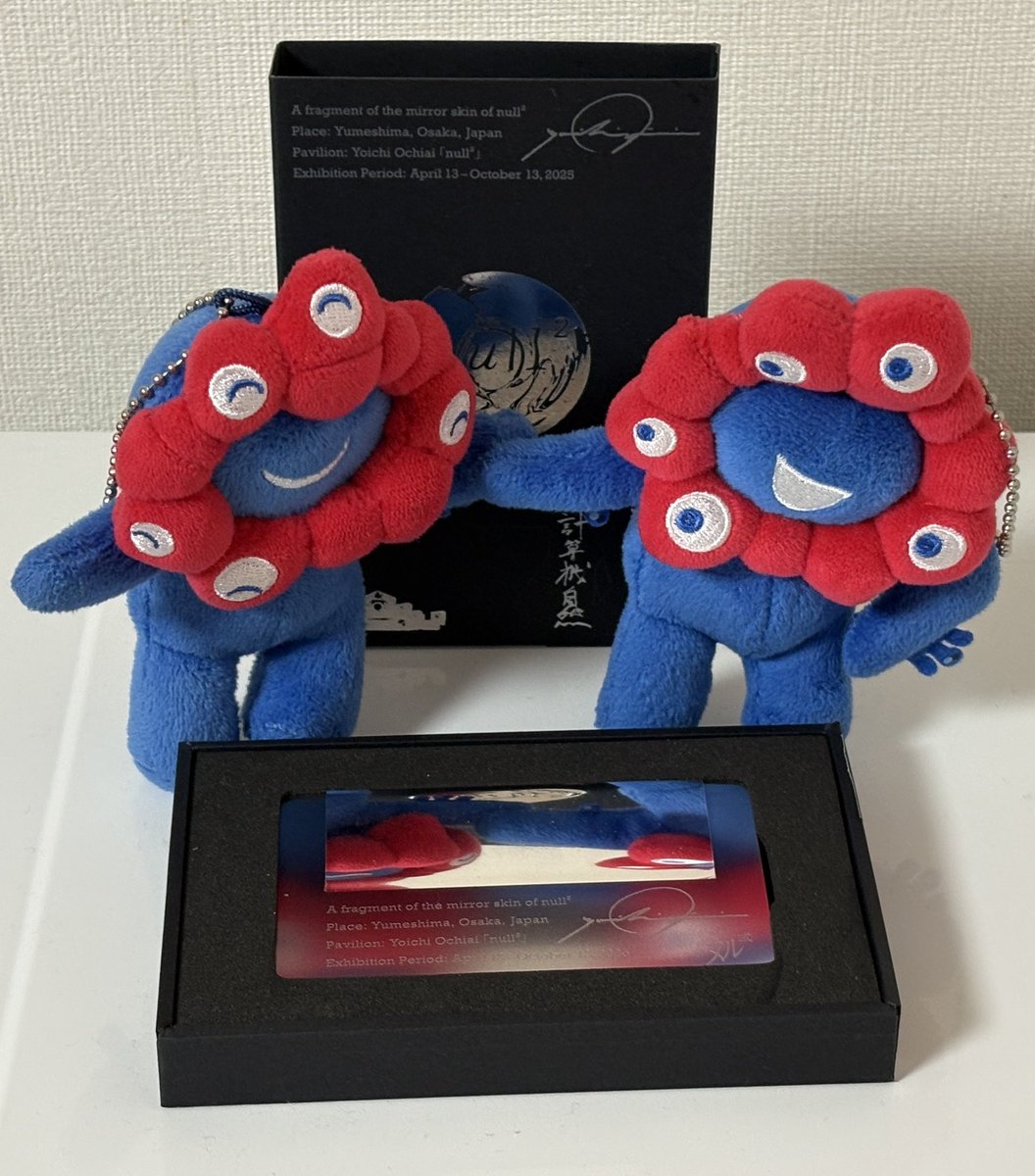 fibber's tweet photo. null2のカケラが届いたわ。
入れなかったパビリオンだけど、良い思い出になりました。
落合さんとnull2に関わるみなさん、ありがとうございました。
#null2のカケラ 
#null2 https://t.co/3nF8J8Fhhj