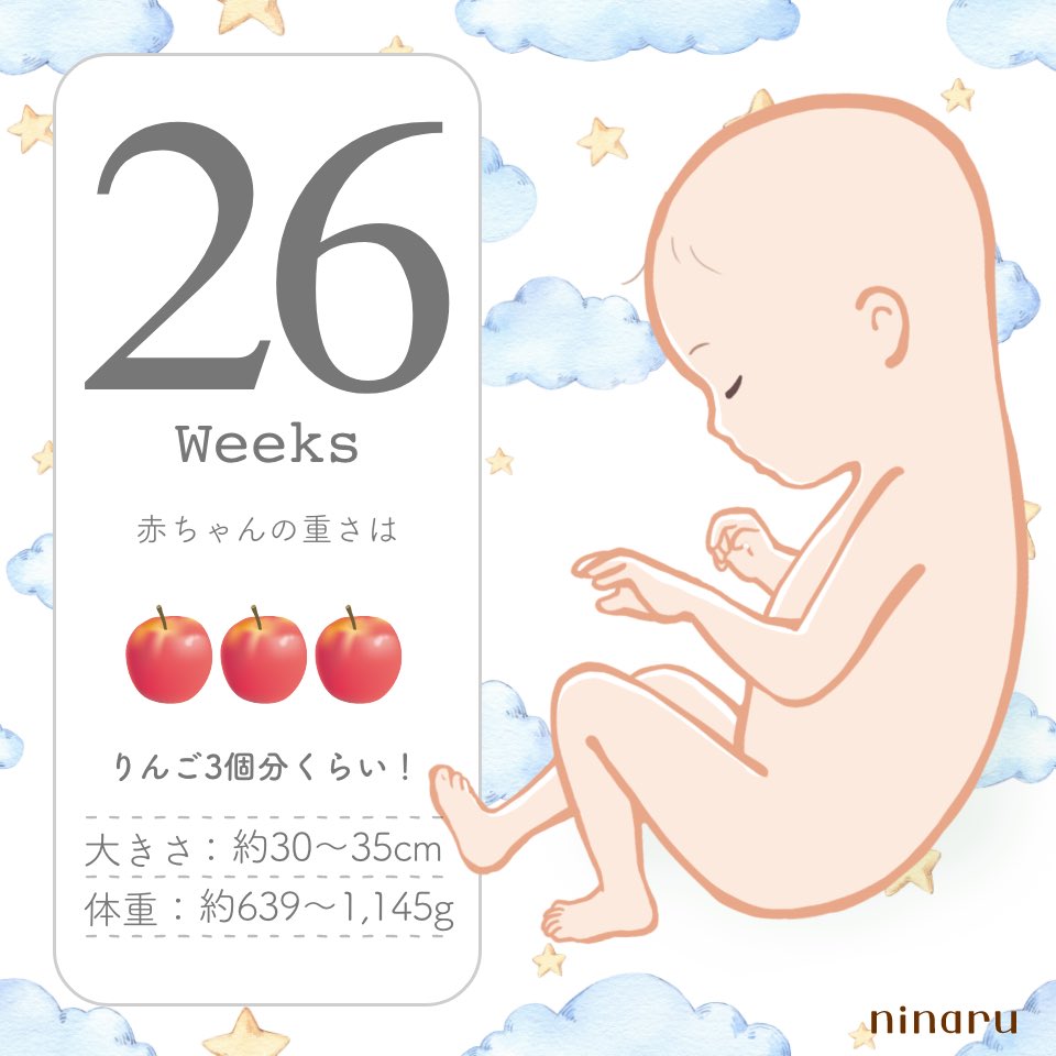 A032i14609's tweet photo. 26w🍎🍎🍎 https://t.co/YUhn2ldiUl