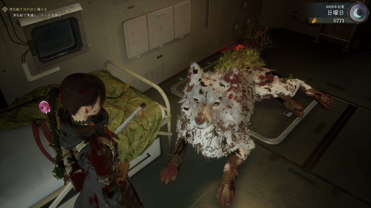 YtoT_335's tweet photo. 誰かこの子の体を洗ってやる方法を教えてください https://t.co/GESZygBLNB