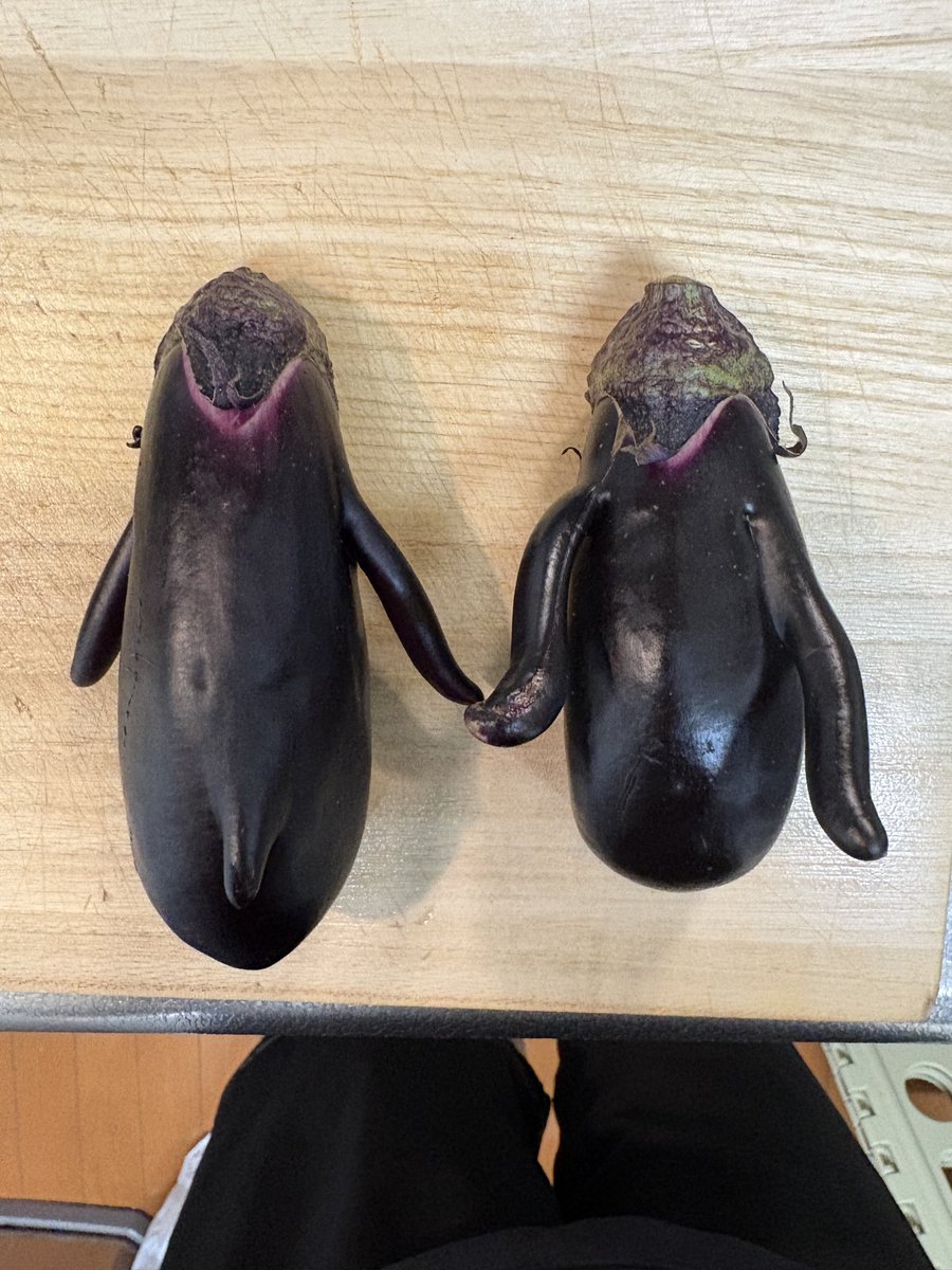 Lineage_pene's tweet photo. いやwちょっと待てお前ら！
切りづらいわ🤣🤣🤣 https://t.co/1rP35Uyr6f