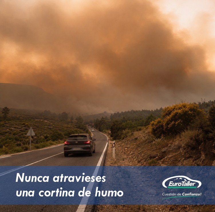 EUROTALLER's tweet photo. 🔥🌲 ¿Sabrías qué hacer si un incendio forestal te sorprende al volante? Conocer las pautas adecuadas puede salvar vidas.

Descubre cómo actuar y por qué revisar tu coche antes del viaje es fundamental. 🚗

https://t.co/C0bwvtYxNP

#SeguridadVial #IncendiosForestales https://t.co/0PSn4yorM3