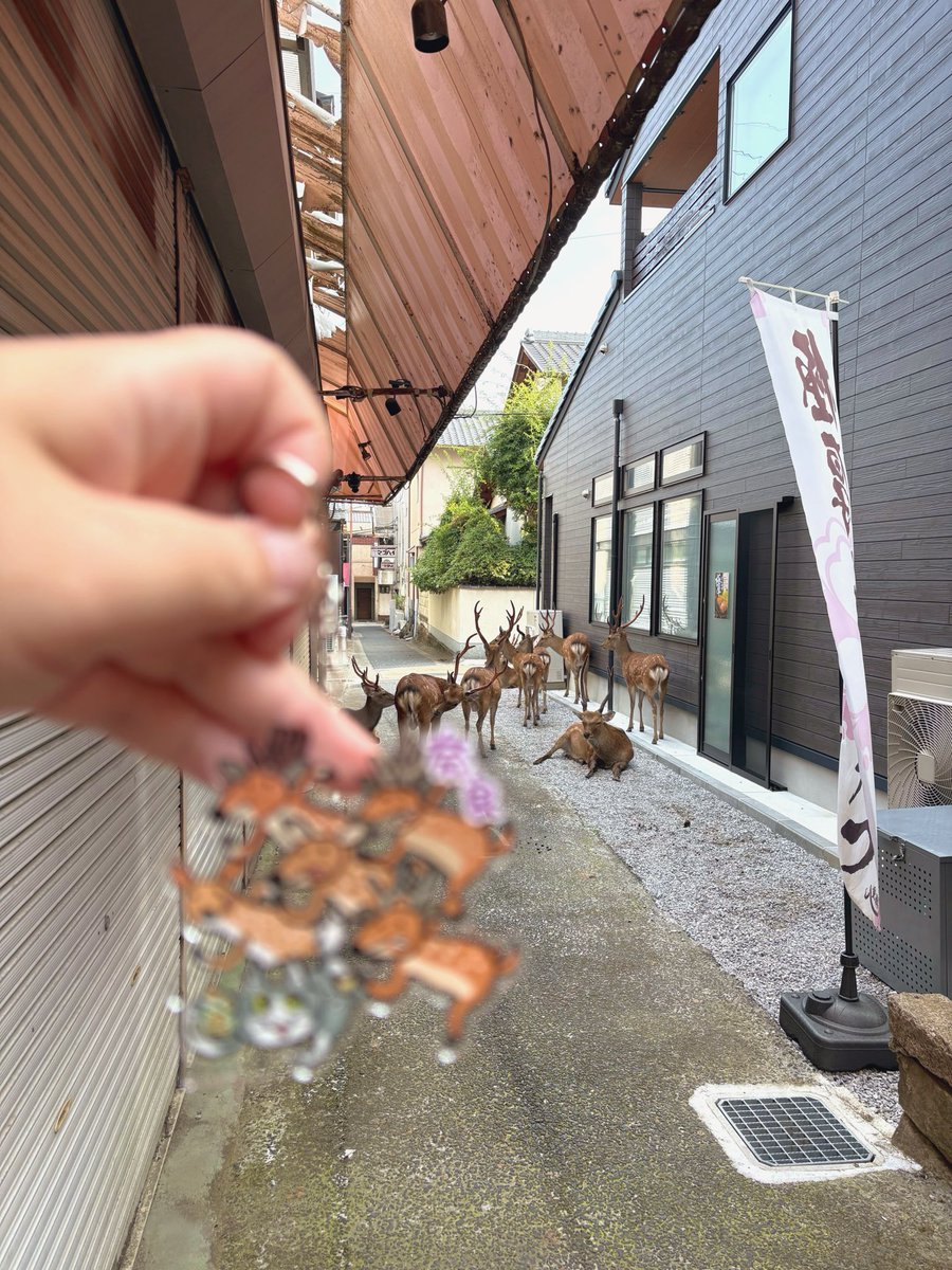 sunnasubee's tweet photo. ご当地仕事猫のアクキーこんなにたくさん種類があるらしいけど、やっぱりこの奈良の鹿せんべいverが1番可愛い！ https://t.co/yRMzVELJyo