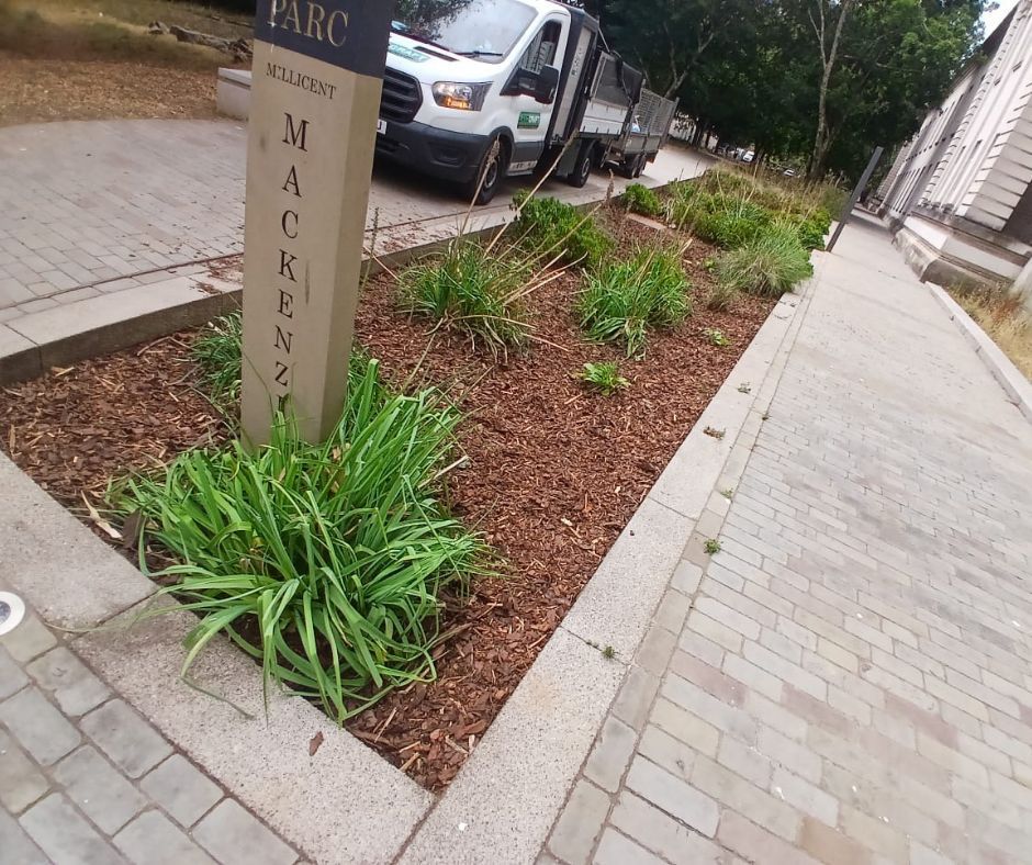 LandcraftUK's tweet photo. Great to see some of our sites taking shape 🌱 

Mulching at Parc Mackenzie for Cardiff city council

Soiling works at Willows School for Morgan Sindall Group plc https://t.co/5MqmZXDVgM