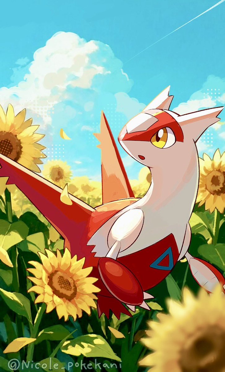 Nicole_pokekani's tweet photo. 🌻☁️ https://t.co/PURRaBl7pI