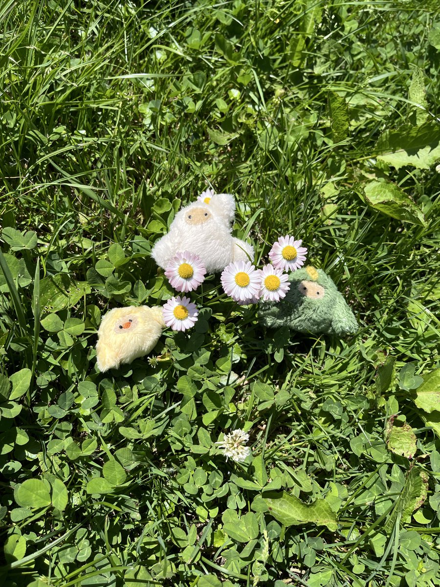 npati_suke's tweet photo. 私がぬいを作り出すので精一杯な日々が続いていても、どこかのどなたかが、ぬいで楽しんでいてくれると思うと嬉しい🐵💚 https://t.co/3v2QuRi3aj
