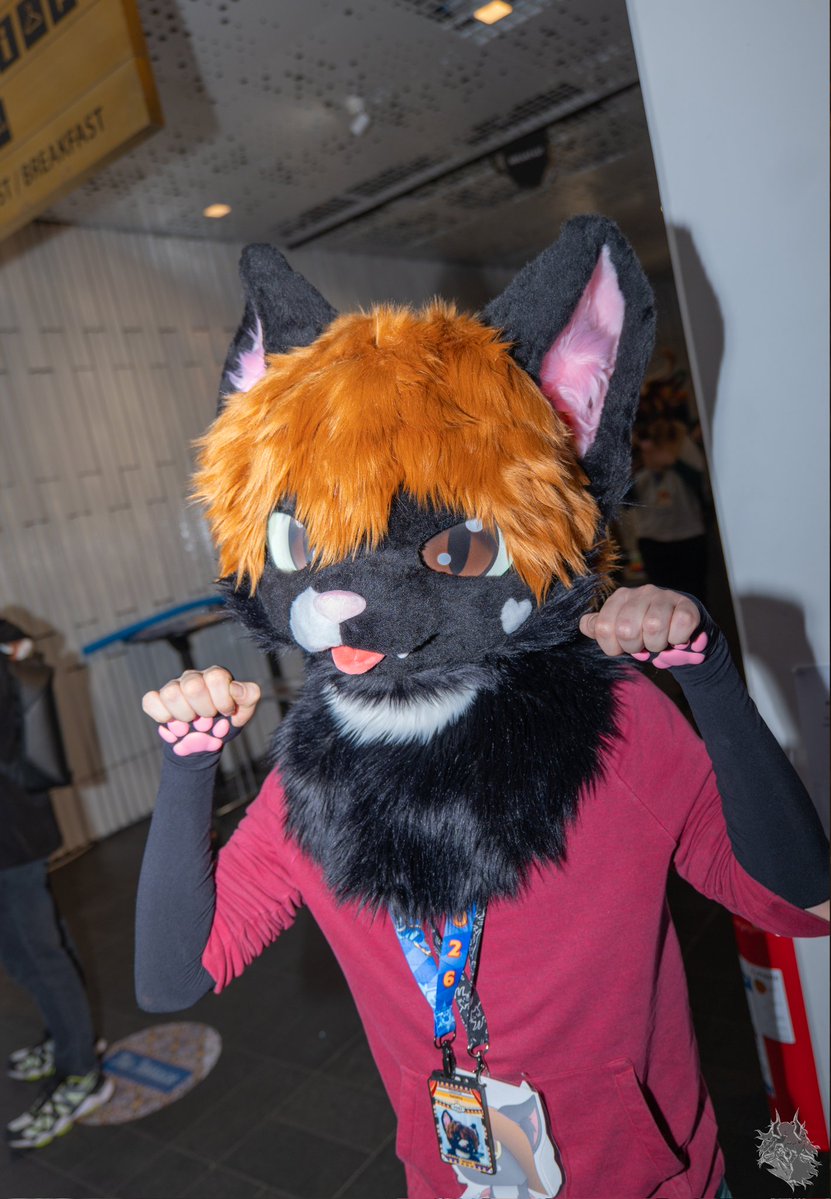 FemboyTrain's tweet photo. *paws at you* >~< https://t.co/J9M7z5VyR1