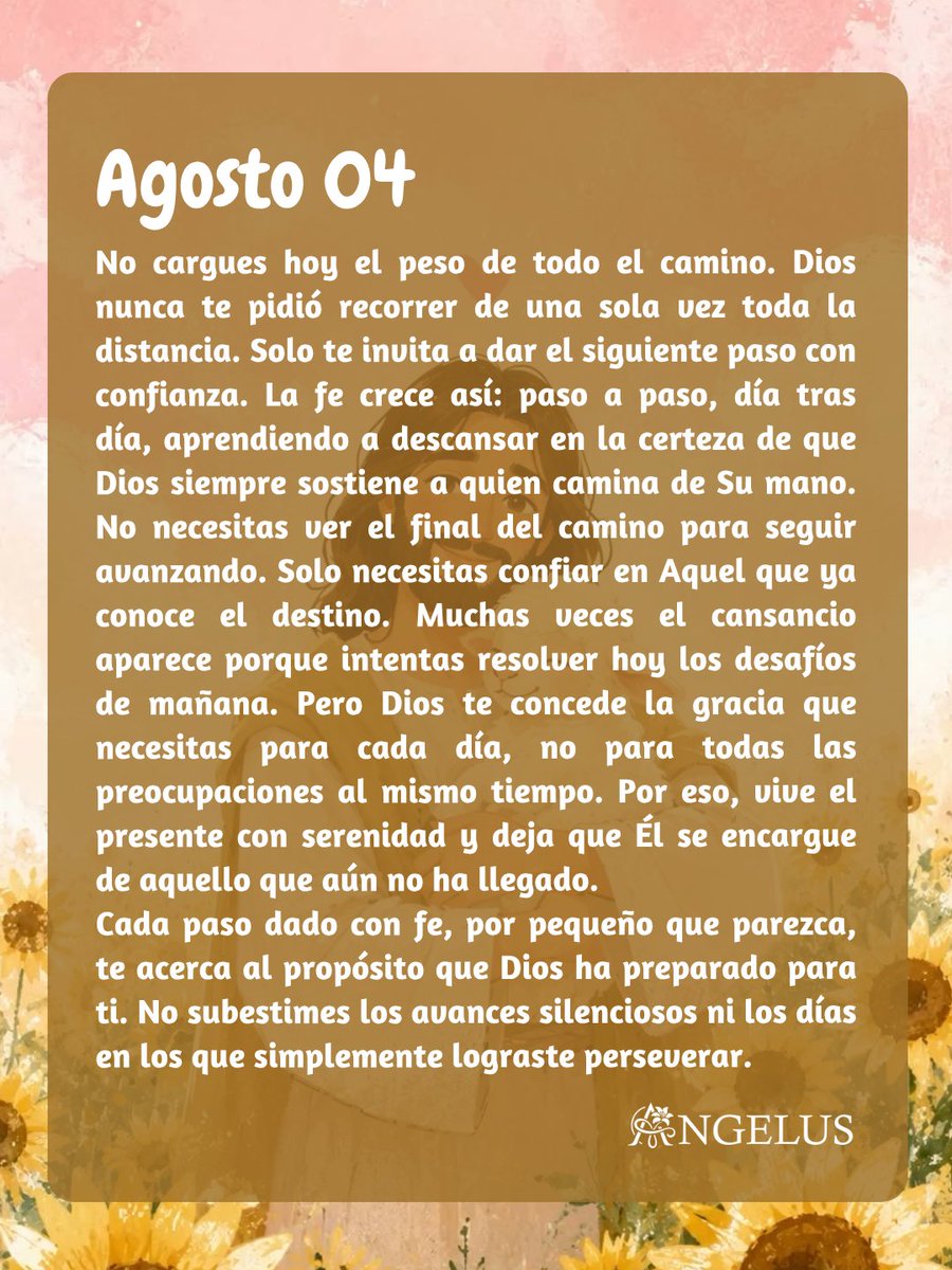 angelus_msj's tweet photo. Camina sin afán y sin miedo. Dios irá iluminando el camino en el momento oportuno, y descubrirás que Su dirección siempre fue suficiente para llevarte exactamente al lugar donde necesitabas estar. https://t.co/47TXqTauOV