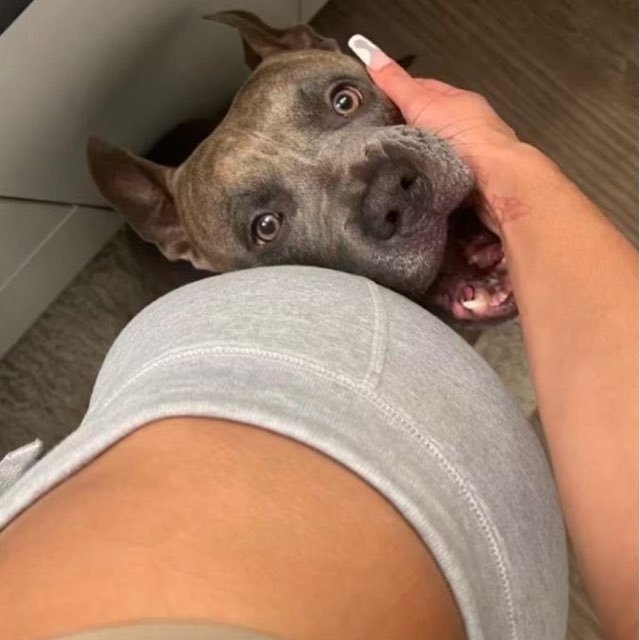 7600Mitchell's tweet photo. Does this turn you on or disgust you? How my dog penetrates inside me💦🍑🦮
☠️Telegram link!👇👇

https://t.co/e14DqWzsNP

Or zangi👇👇
8532821882

#incest #incestkink #siblingincest #brothersister #olderbrother #littlesister  #taboo #nsfw #nsfwtwt #horny https://t.co/EzYxyaJVZL