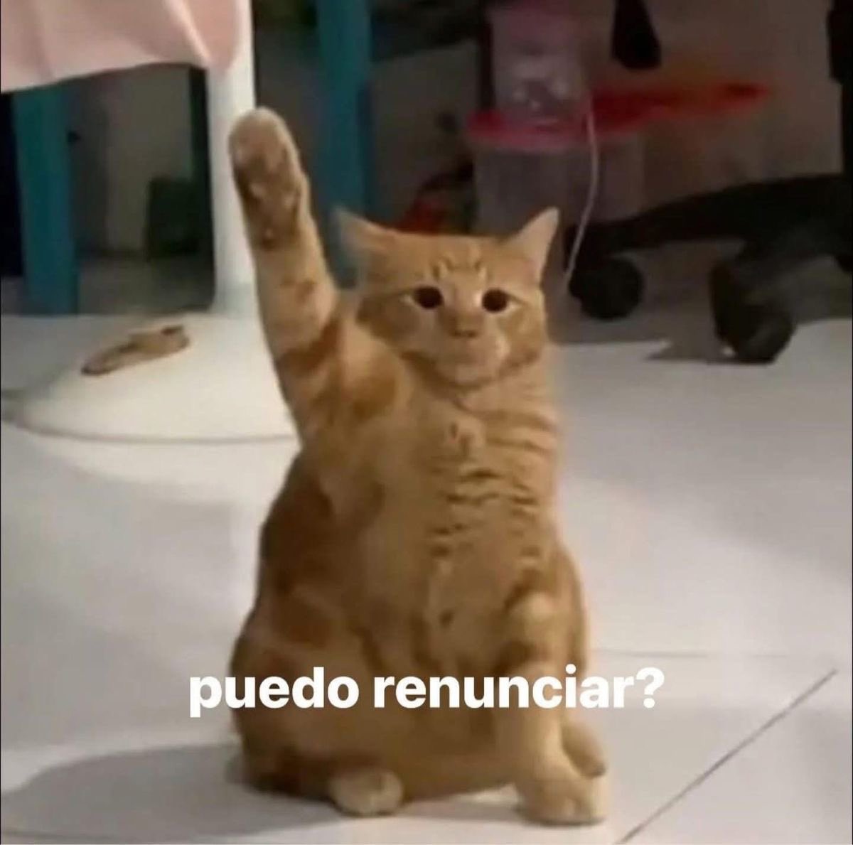 dilocondibujos_'s tweet photo. Yo en el trabajo https://t.co/BwcHx555J0