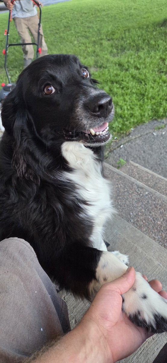 Jasonwarnock84's tweet photo. @depressionlesss Meet henry https://t.co/5Y8pBCyD9f