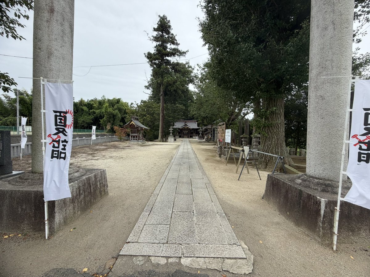 CriesRoad's tweet photo. 小美玉の神社で茶トラちゃんの御朱印いただいた
頭に蝶がのってるからイカ耳？可愛い https://t.co/6Gk9vDOFhn