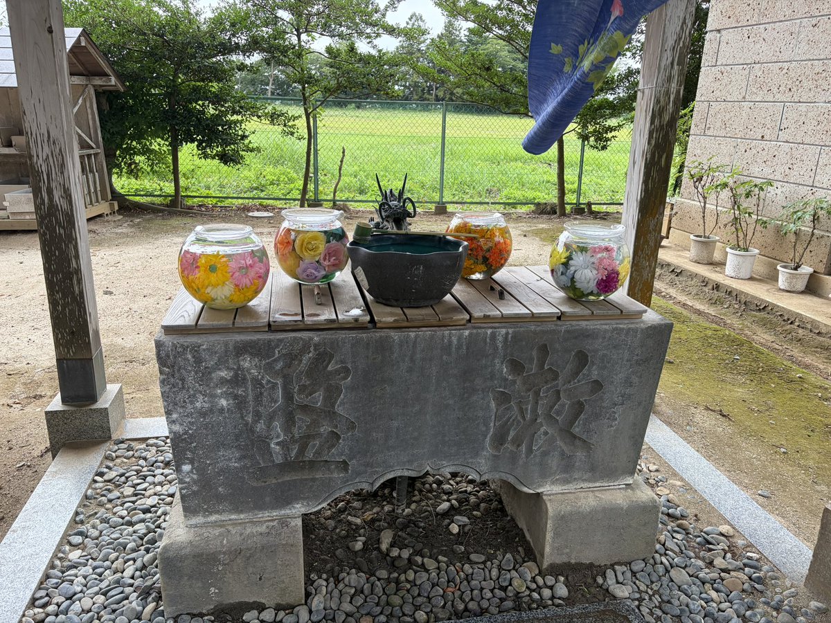 CriesRoad's tweet photo. 小美玉の神社で茶トラちゃんの御朱印いただいた
頭に蝶がのってるからイカ耳？可愛い https://t.co/6Gk9vDOFhn