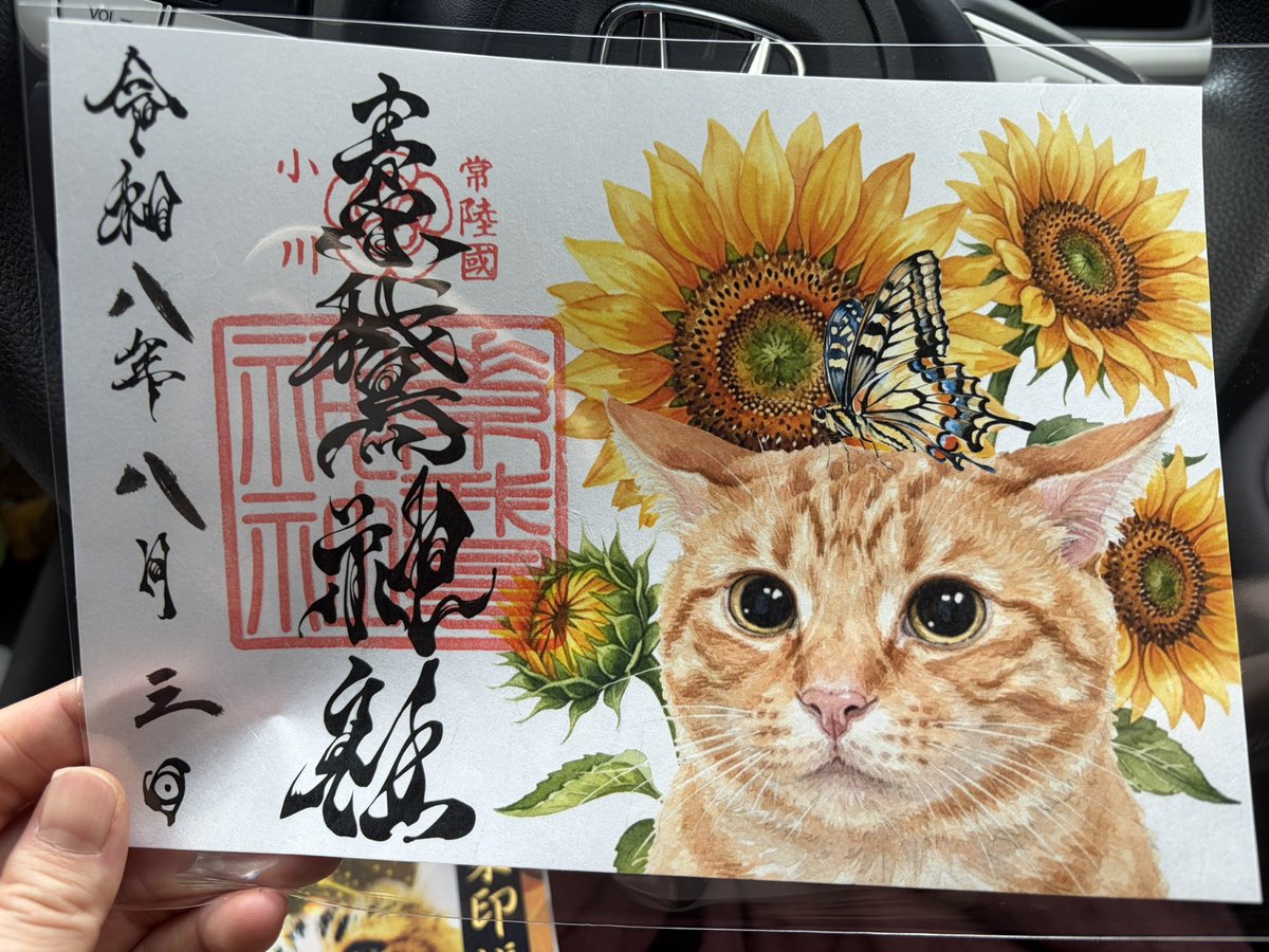 CriesRoad's tweet photo. 小美玉の神社で茶トラちゃんの御朱印いただいた
頭に蝶がのってるからイカ耳？可愛い https://t.co/6Gk9vDOFhn