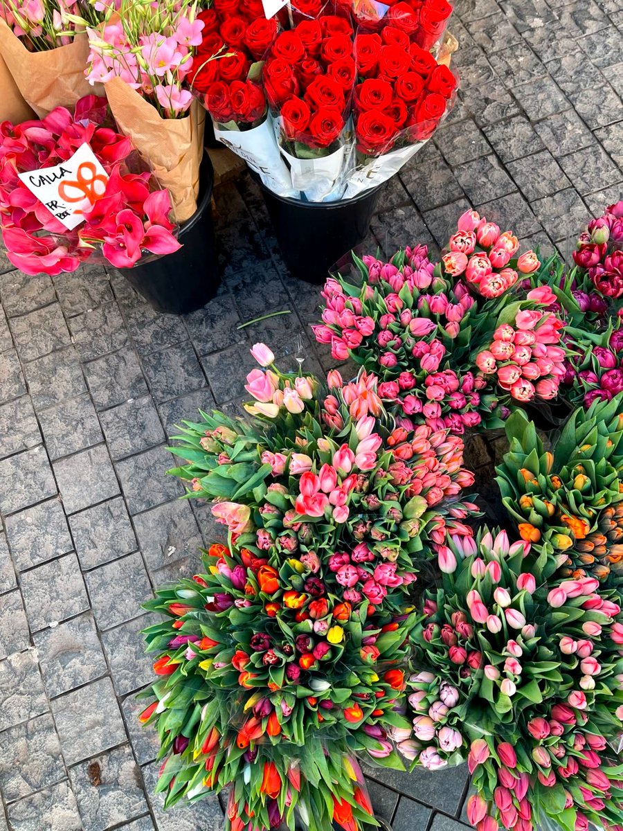 realmagine's tweet photo. Copenhagen, Denmark 🇩🇰

#Copenhagen #Denmark #Imagine https://t.co/cSCiorGBzK