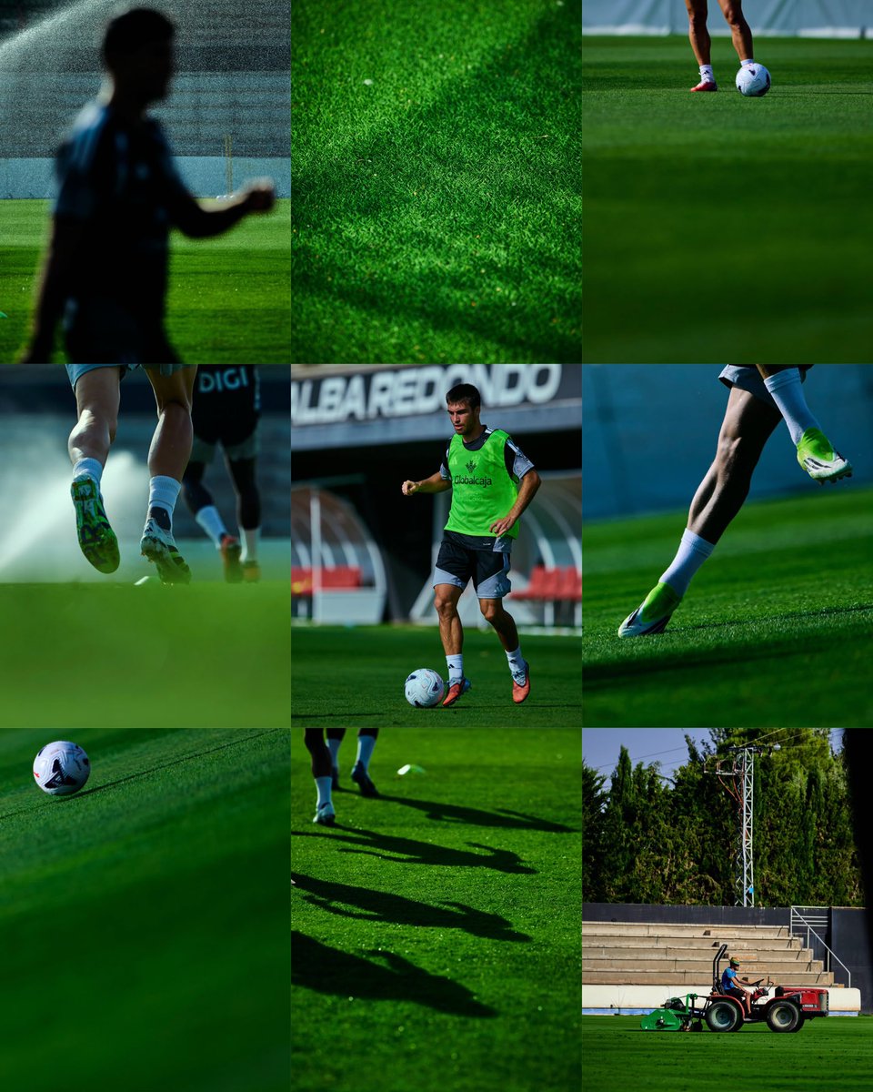 AlbaceteBPSAD's tweet photo. El entrenamiento, a todo color 🤍 https://t.co/SYis9vQv4B