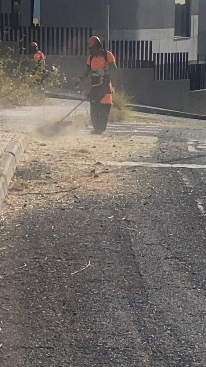 LimpiezaLPGC's tweet photo. LIMPIEZAS ESPECIALES
Actuaciones especiales de limpieza, desbrozado de hierbas (manual y mecanizado) en San Francisco de Paula. https://t.co/VCsAJPV9fS