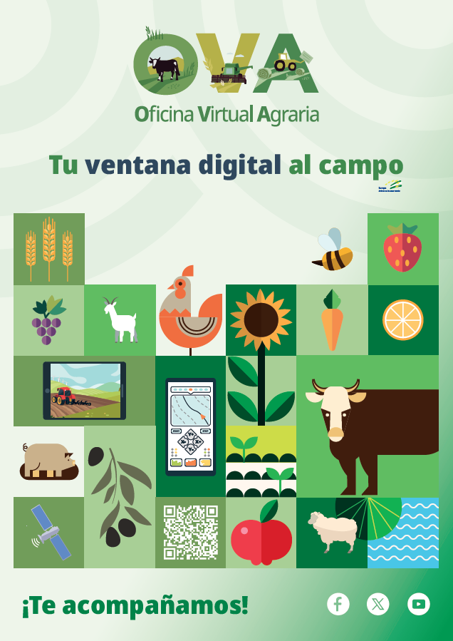 aemprende's tweet photo. 🌾 Gestiona tus trámites agrarios de forma rápida y sin desplazamientos.

📲 La Oficina Virtual Agraria (OVA) @AgriculturAnd, te permite acceder a procedimientos y servicios @AndaluciaJunta desde cualquier dispositivo, 🕒 24/7.

⚙️ Descubre todas sus herramientas y las de las Oficinas Comarcales Agrarias (OCA) 👇

🔗 https://t.co/PZybXs6deP 

#Agricultura #Andalucía