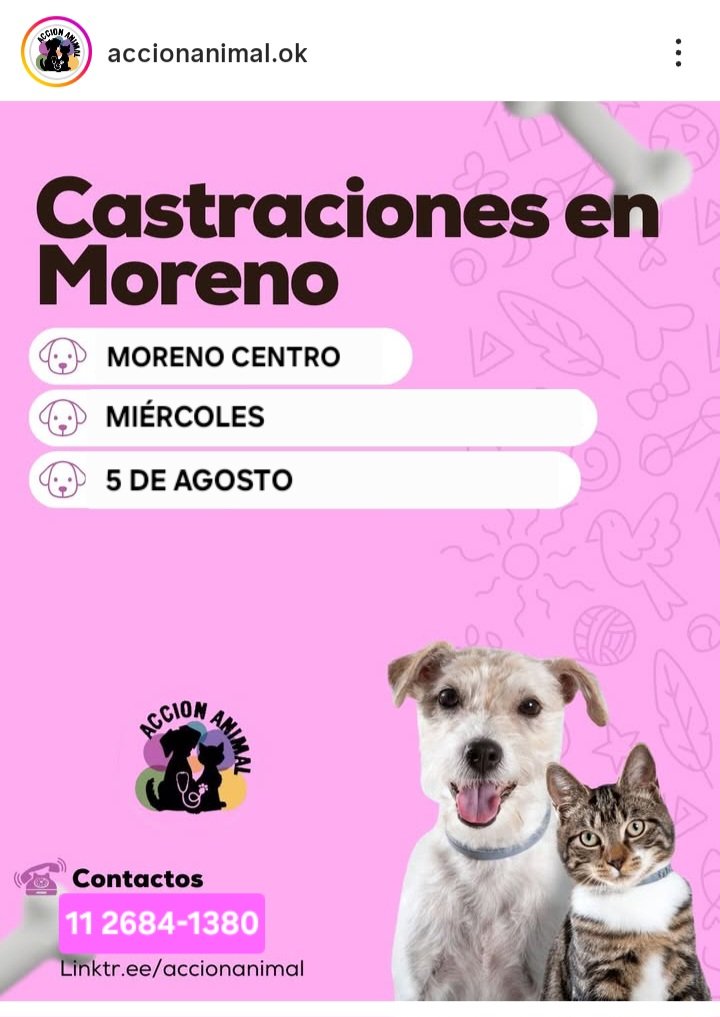 protegealanimal's tweet photo. MORENO
#MORENO #AURORA #LASCATONAS #SANJORGE #MARILÓ #JARDINES1 #LAPERLITA #SAMBRIZZI #ELCAÑÓN #LASFLORES #SANTABRÍGIDA #PASODELREY #MIRASOLES #TRUJUI #LAREJA #RIFIFI #MIBARRIO #CUARTELV #LAREJA #VILLASALAS #LASLILAS #BARRIOPARQUE #FCOÁLVAREZ #ZONAOESTE #GRANBSAS #BSAS #CONURBANO https://t.co/7TgDNlRbGH