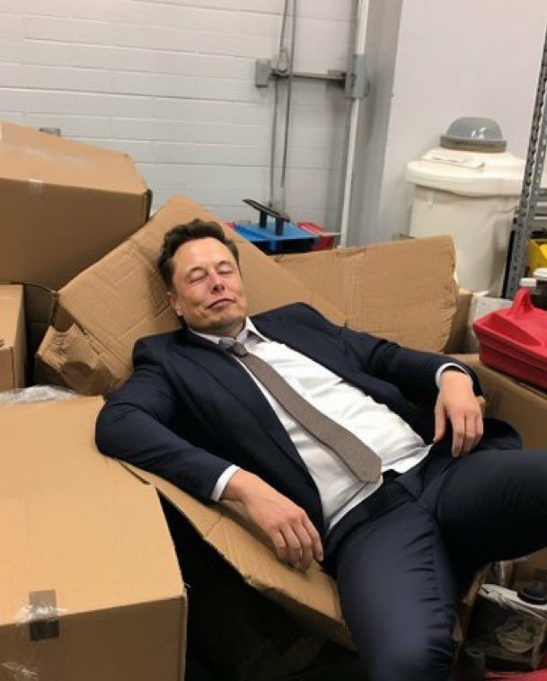 privatechatzs's tweet photo. If you walked in and saw Elon like this, what would you do? 👀 

A. Let him sleep 😴
B. Take a selfie 🤳
C. Wake him up ☕
D. Leave quietly 🤫 https://t.co/Jz6hXErpR0