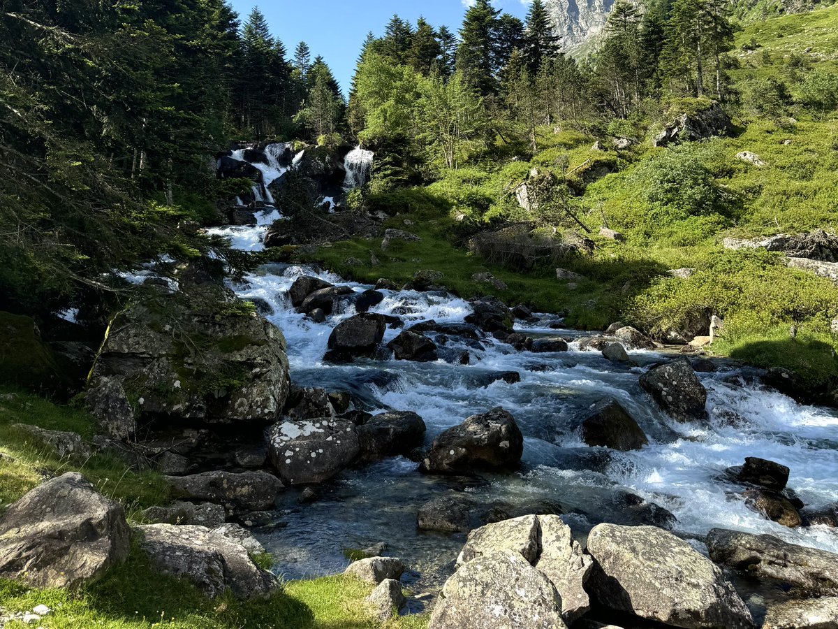 mygetawayhere's tweet photo. everything felt so alive https://t.co/sEMafZEXa1