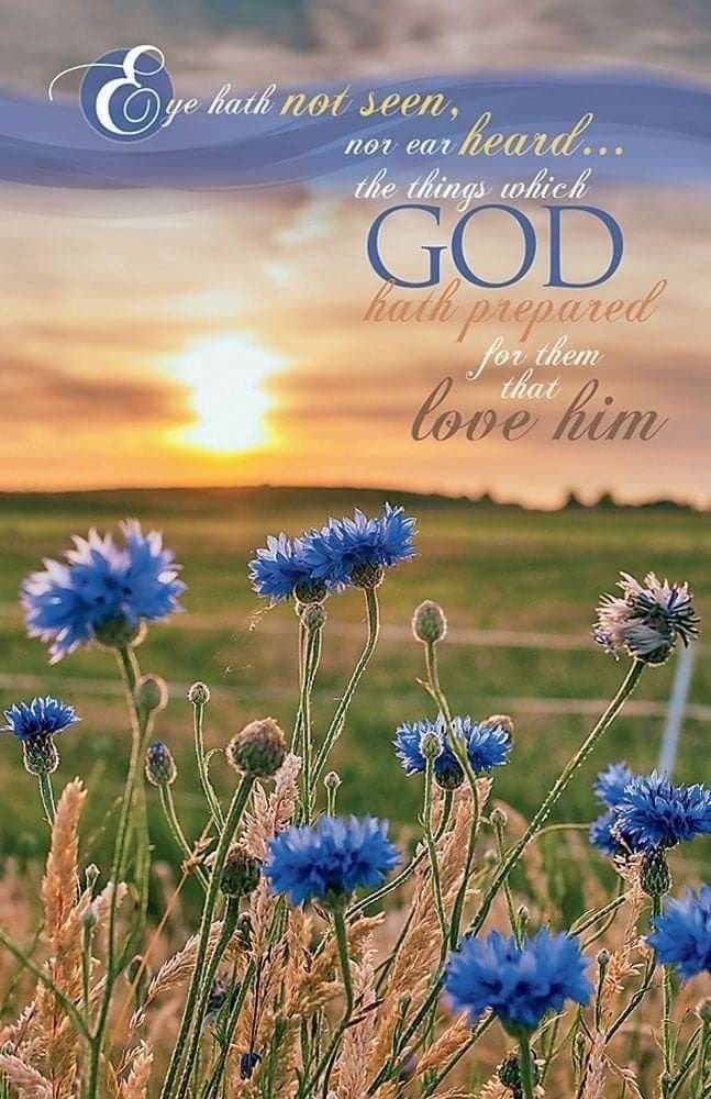 Oohoo3's tweet photo. Good Tuesday morning my sweet friends ☕️☕️☀️🇺🇸✝️💗🤗

May God bless your day 🙏✝️🕊️💗

For since the beginning of the world men have not heard, nor perceived by the ear, neither has the eye seen, O God, beside thee, what he has prepared for him that wait for him.
Isaiah 64:4 https://t.co/Vl9BL6aqGY