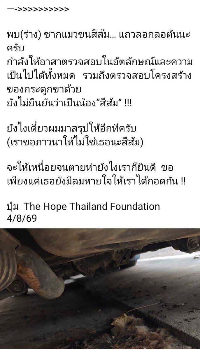 BBnubDAO's tweet photo. พี่ปุ๋มอัพเดทแล้ว จากโพสที่แจ้งว่าพบซากแมวขนสีส้มอยู่บริเวณอู่ซ่อมรถ 

ตรวจสอบอัตลักษณ์แล้วยืนยันว่า  ❌ไม่ใช่น้องสีส้ม❌ ค่ะ 🙏🏻

#แมวหายบนรถไฟ https://t.co/DJAqnC7HGZ
