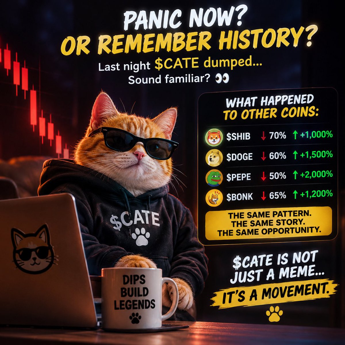 STOAKED__'s tweet photo. @Aurelius0121 $Cate on top🥇 https://t.co/LHFDIMyLqg