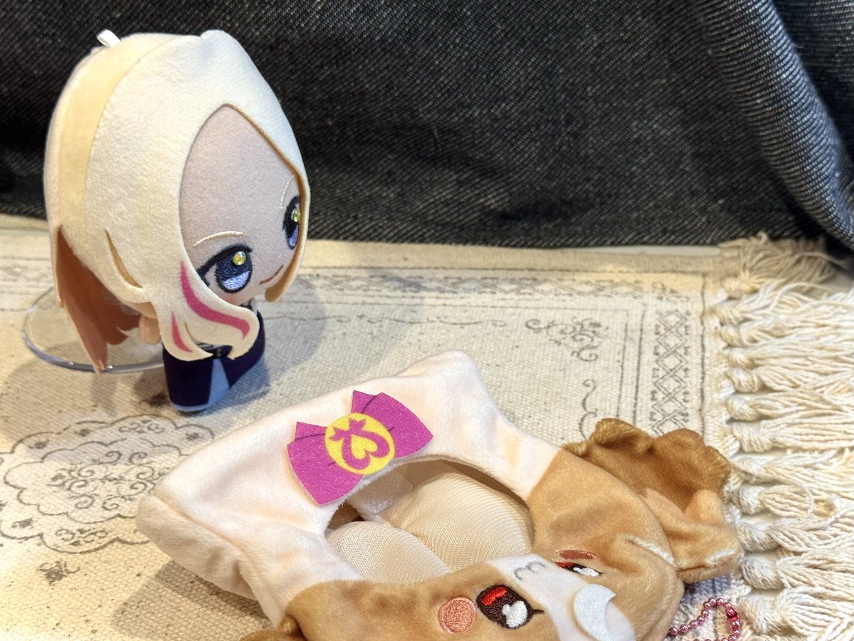 kimowota_dog724's tweet photo. https://t.co/Fokgcs9BIK
