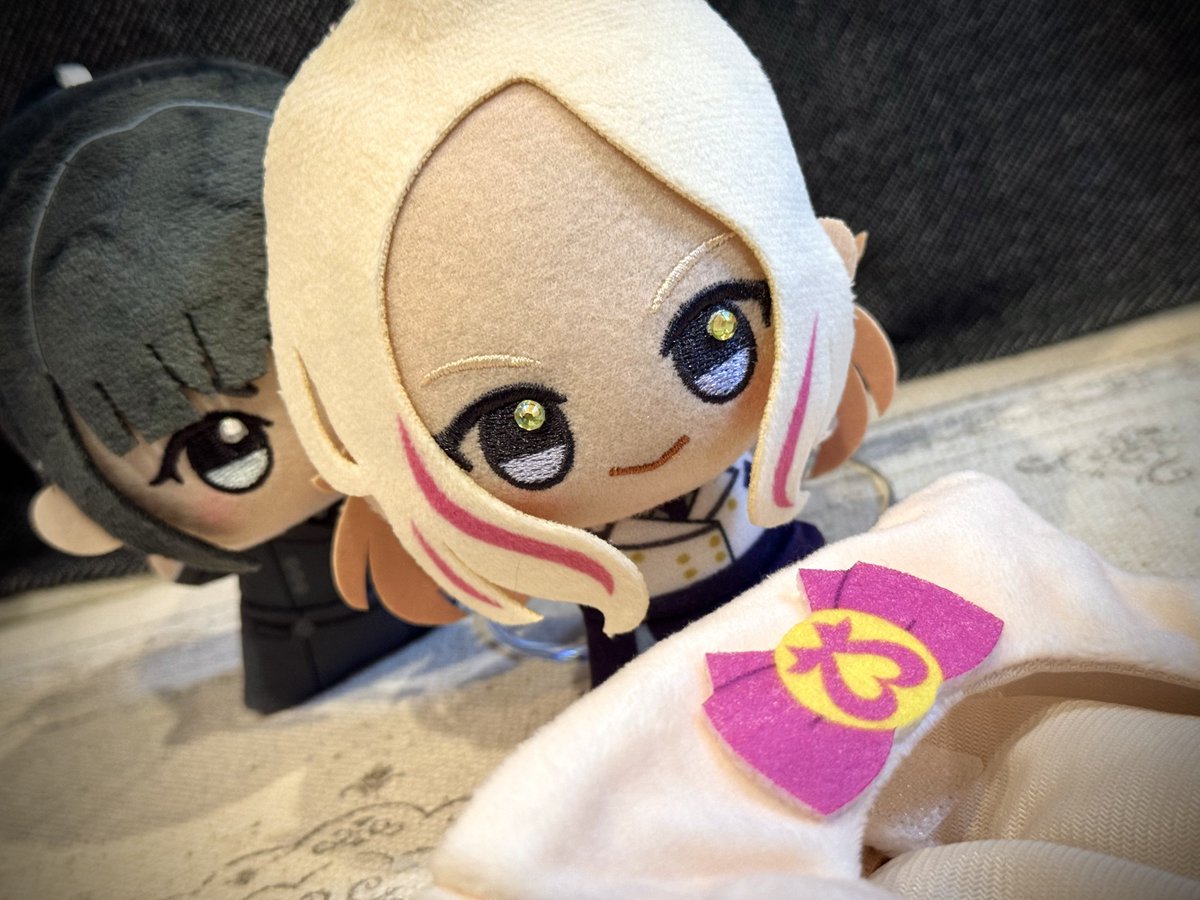 kimowota_dog724's tweet photo. https://t.co/Fokgcs9BIK